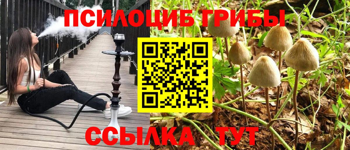 Галлюциногенные грибы прущие грибы  закладки  Южно-Сахалинск  Вход с VPN 